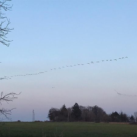 Au Milieu De Nulle Part Chambres Au Lac Du Der Outines Exteriér fotografie